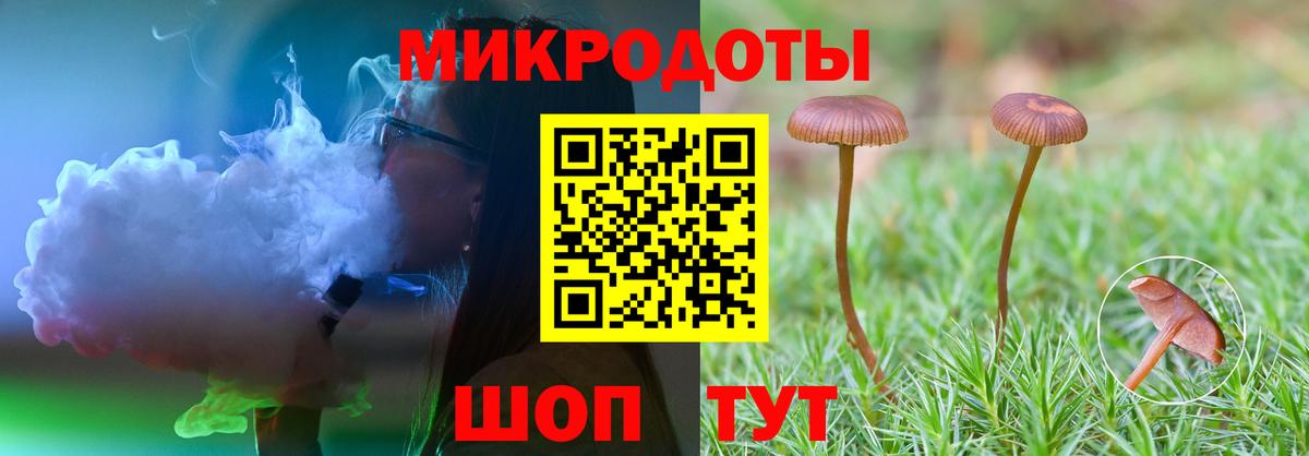Большой Камень  Псилоцибиновые грибы Magic Shrooms  Вход с VPN  Галлюциногенные грибы прущие грибы 